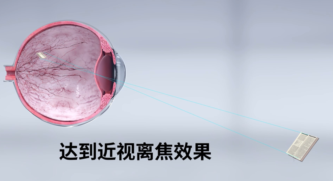 利来·国际(中国)最老牌-中国官网